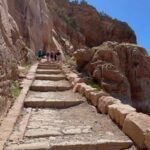 homeschool field trip