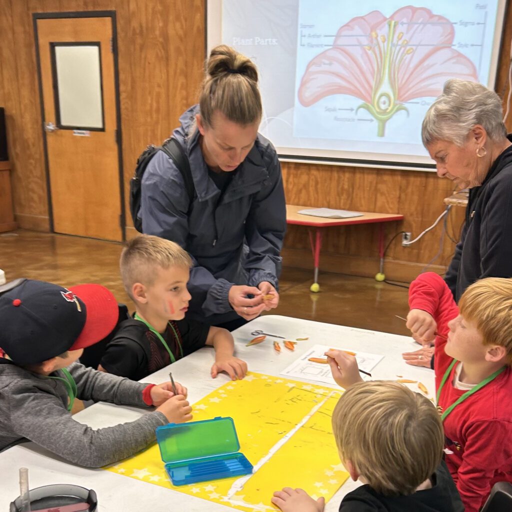 Wilderness Station Homeschool Nature Co-Op