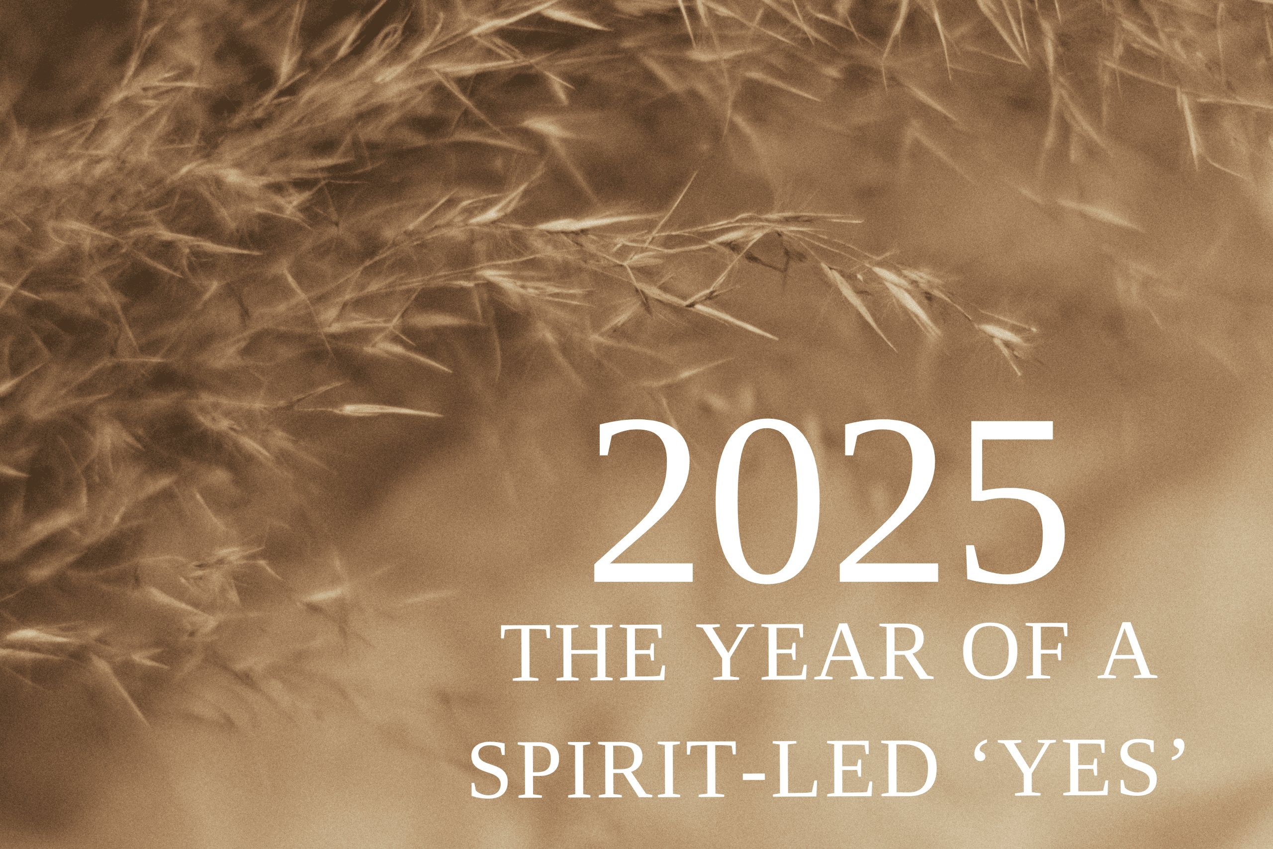 2025: The Year of a Spirit-Led ‘YES’