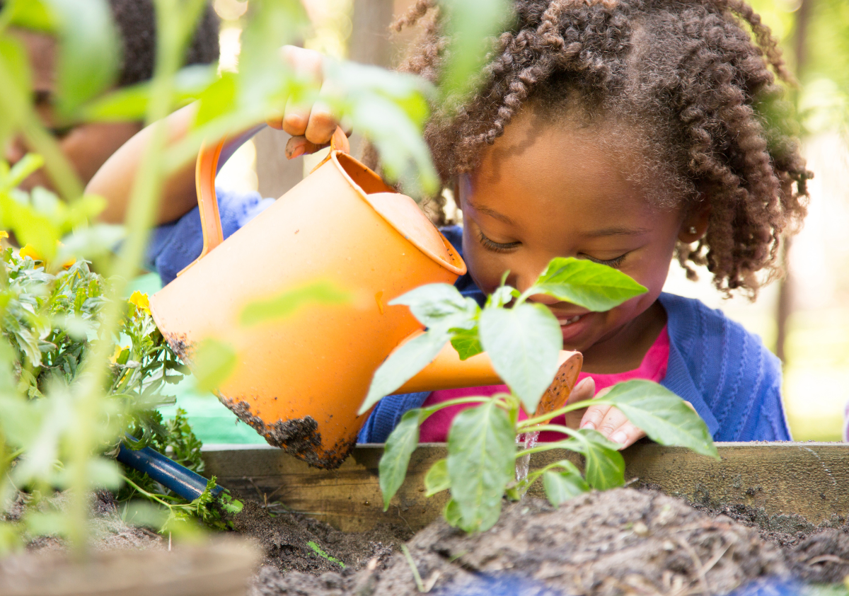 5 Free Homeschool Resources to Jumpstart Your Spring Semester